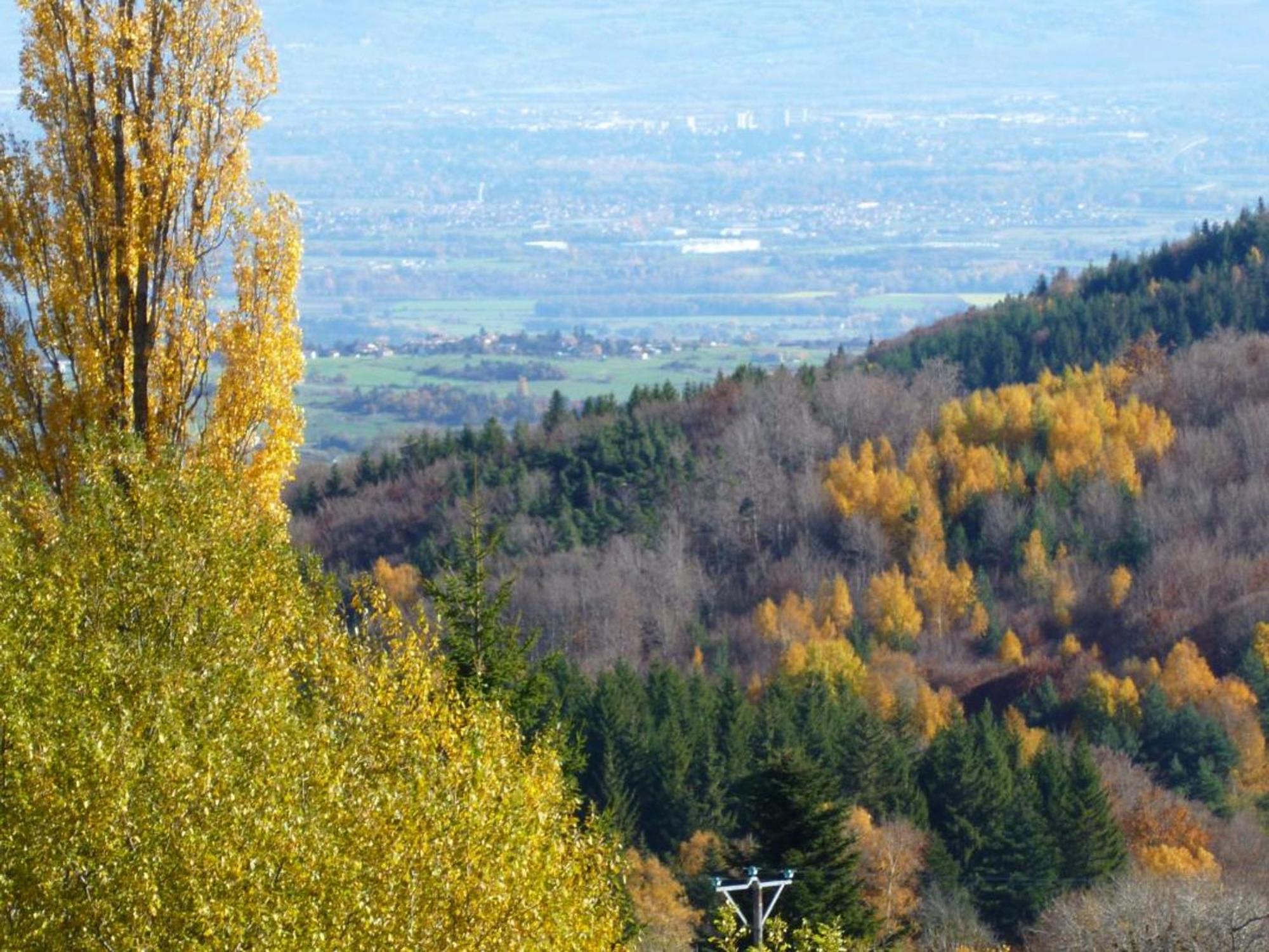 Charmant Gite Avec Terrasse, Cheminee Et Jardin, A Proximite Des Bois, Animaux Acceptes - Fr-1-496-205 Saint-Jean-Soleymieux Buitenkant foto